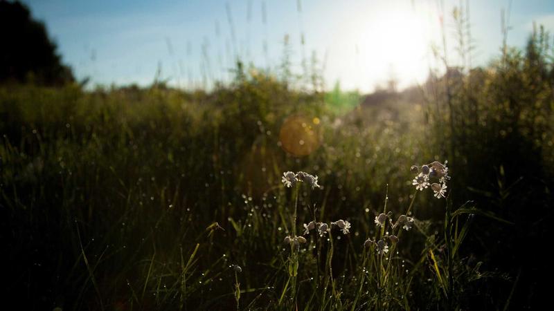 社会心理学：透视群体行为背后的心理密码